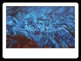 Fire On Ice
oils on canvas
100cmx40cm